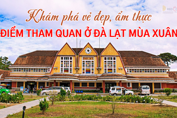 Khám phá vẻ đẹp, ẩm thực và điểm tham quan ở Đà Lạt mùa xuân