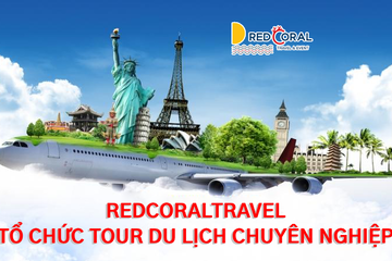 Tổ chức tour du lịch chuyên nghiệp cho doanh nghiệp – Chỉ có tại San Hô Đỏ