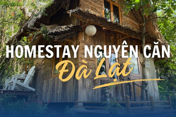Ở đâu khi đến Đà Lạt? Gợi ý khách sạn view đồi núi siêu chill