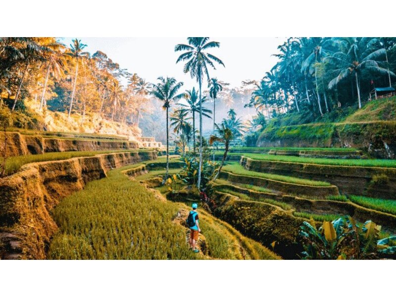 DU LỊCH BALI - VIÊN NGỌC CỦA INDONESIA