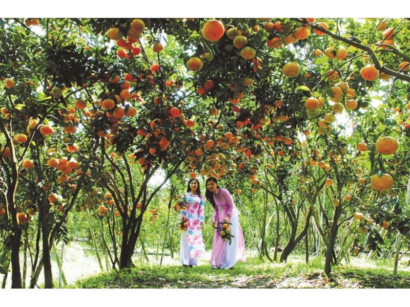 DU LỊCH CÔN ĐẢO – HÀNH TRÌNH VỀ NGUỒN CỘI