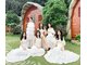 DU LỊCH HÀ NỘI - CÔ TÔ - HÀ NỘI