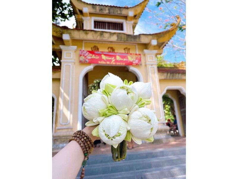 DU LỊCH CÔN ĐẢO – HÀNH TRÌNH VỀ NGUỒN CỘI