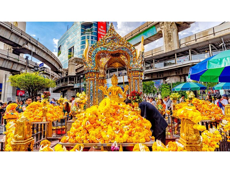 VI VU XỨ CHÙA VÀNG