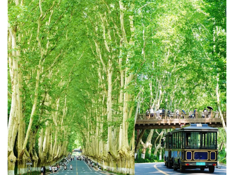 KHÁM PHÁ THƯỢNG HẢI