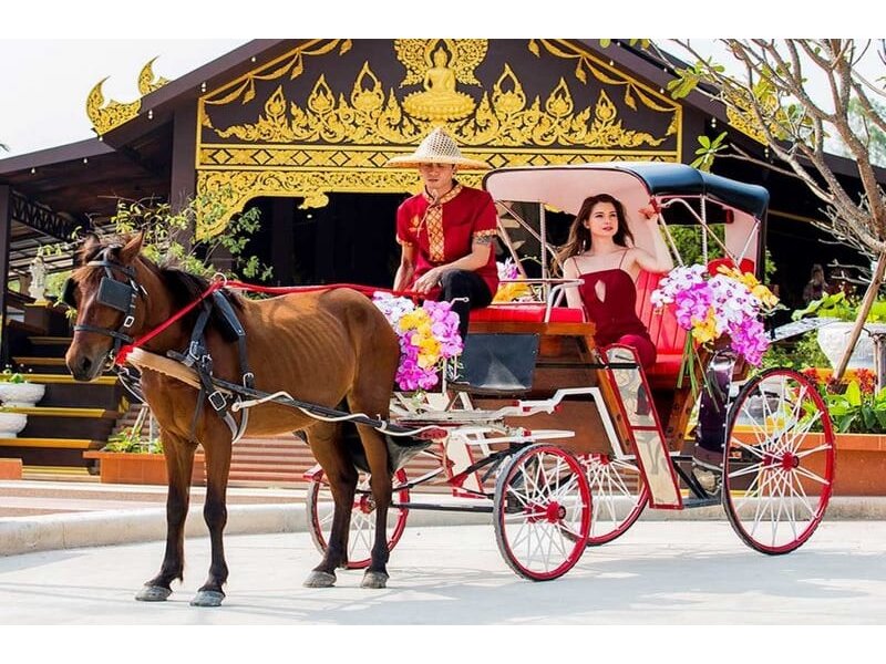 VI VU XỨ CHÙA VÀNG