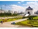 THƯỞNG SẮC HOA ANH ĐÀO ĐÀI LOAN