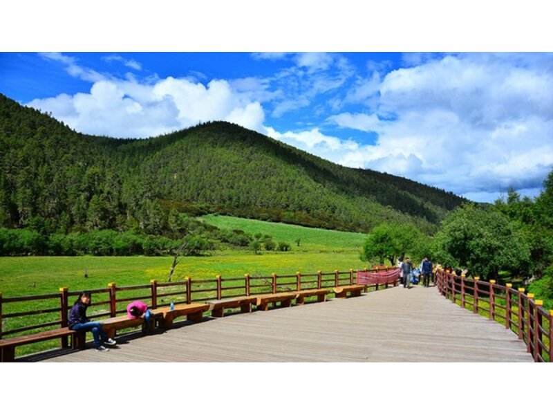 VÂN NAM PHONG HOA