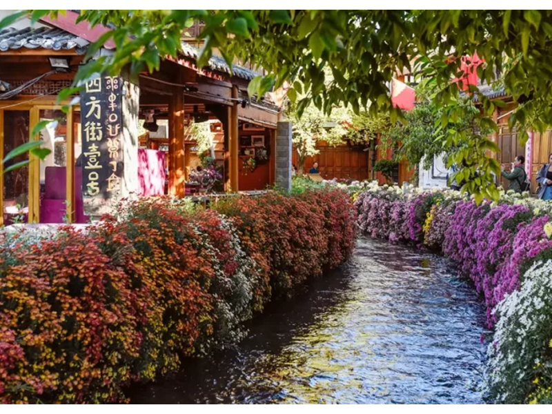 VÂN NAM PHONG HOA