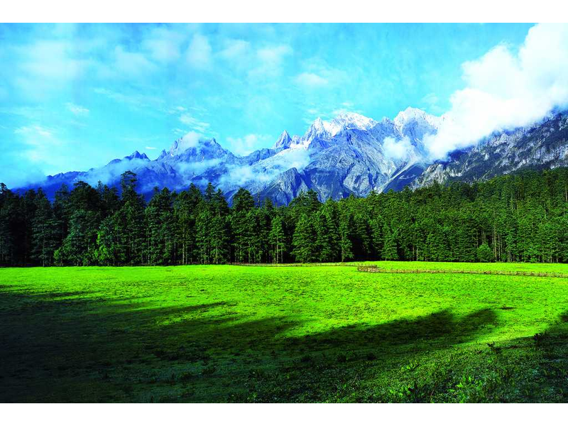 VÂN NAM PHONG HOA