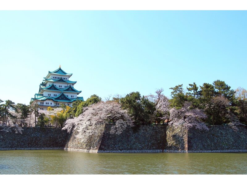 NGẮM HOA ANH ĐÀO TẠI HOKKAIDO