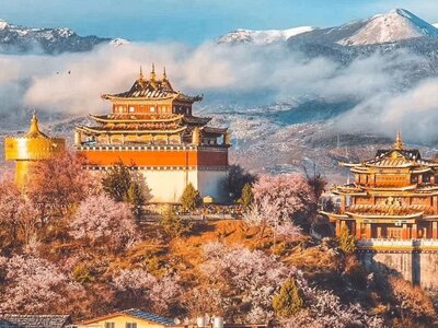 VÂN NAM PHONG HOA - SHANGRILA