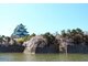NGẮM HOA ANH ĐÀO TẠI HOKKAIDO