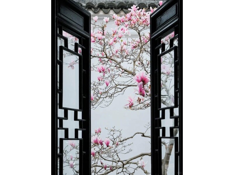 THƯỢNG HẢI – TÔ CHÂU – VÔ TÍCH – HÀNG CHÂU – Ô TRẤN