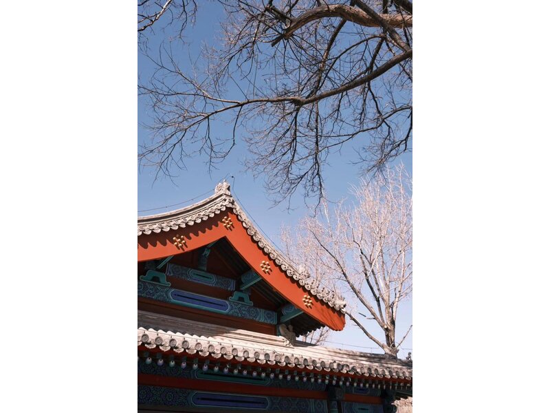 THƯỢNG HẢI - HÀNG CHÂU - Ô TRẤN