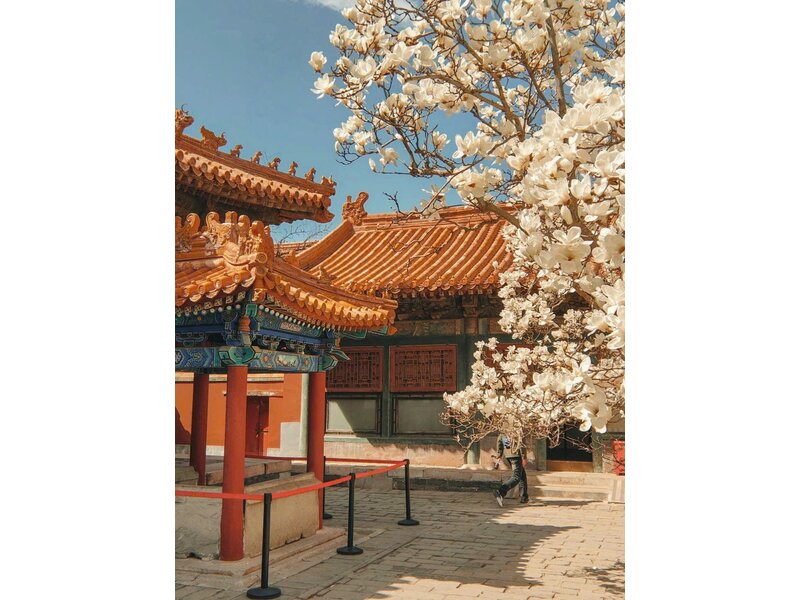 THƯỢNG HẢI – HÀNG CHÂU – TÂY Ô TRẤN