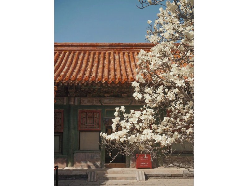 THƯỢNG HẢI - HÀNG CHÂU - Ô TRẤN