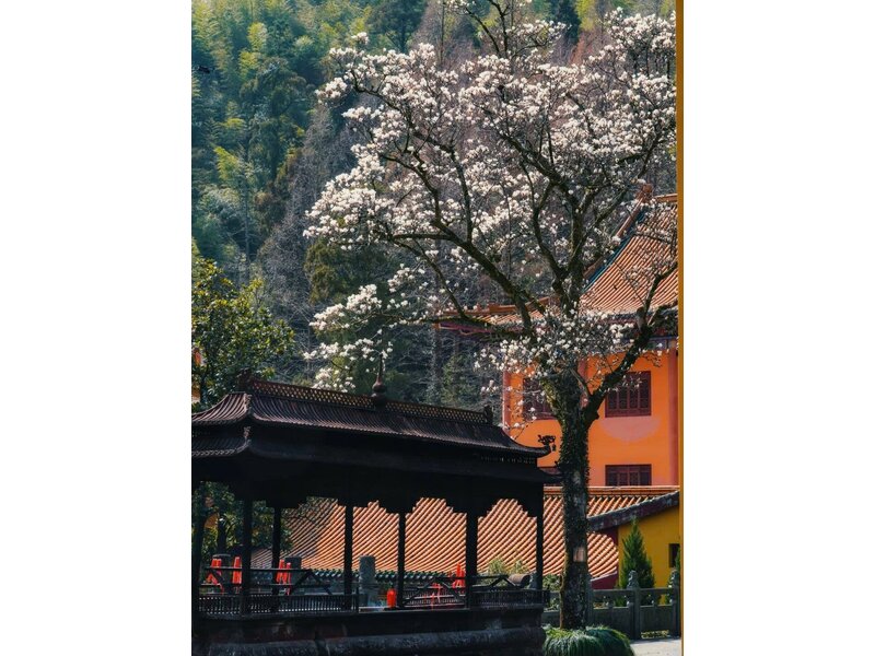THƯỢNG HẢI – HÀNG CHÂU – TÂY Ô TRẤN