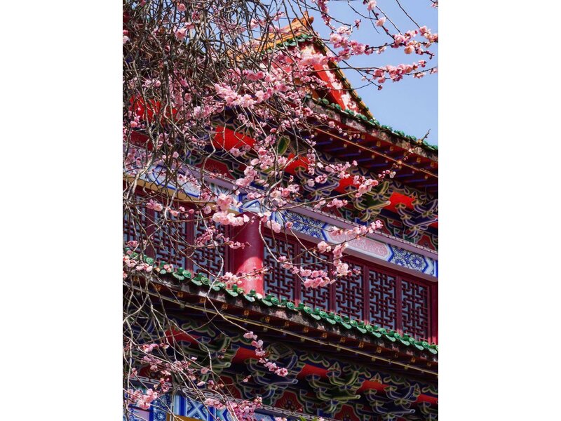 THƯỢNG HẢI - HÀNG CHÂU - Ô TRẤN