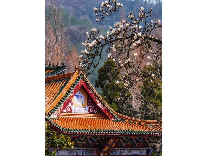 THƯỢNG HẢI – HÀNG CHÂU – TÂY Ô TRẤN