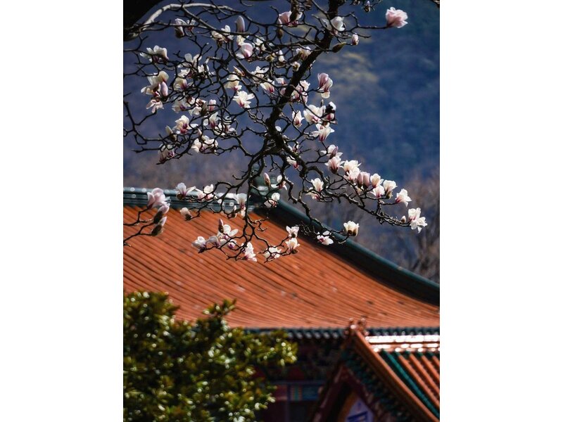 THƯỢNG HẢI – HÀNG CHÂU – TÂY Ô TRẤN