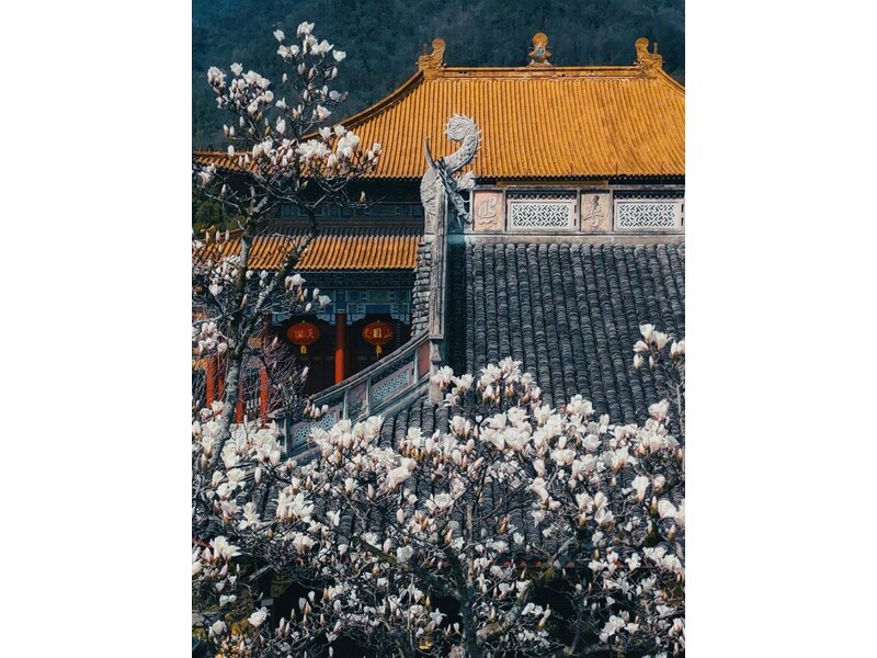 BẮC KINH – HÀNG CHÂU – Ô TRẤN – THƯỢNG HẢI