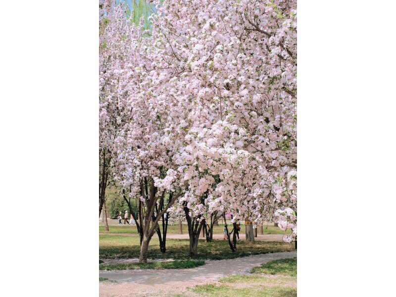 BẮC KINH – HÀNG CHÂU – Ô TRẤN – THƯỢNG HẢI