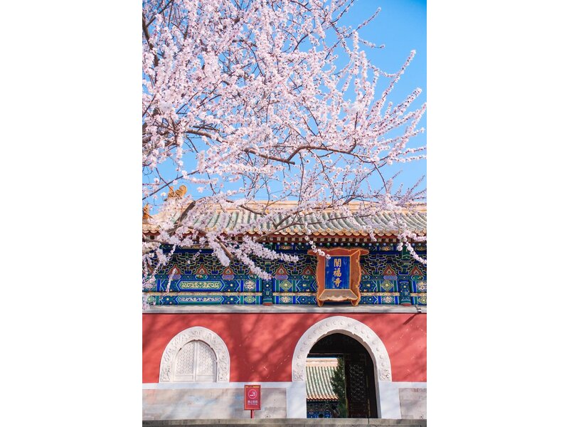 BẮC KINH – HÀNG CHÂU – Ô TRẤN – THƯỢNG HẢI