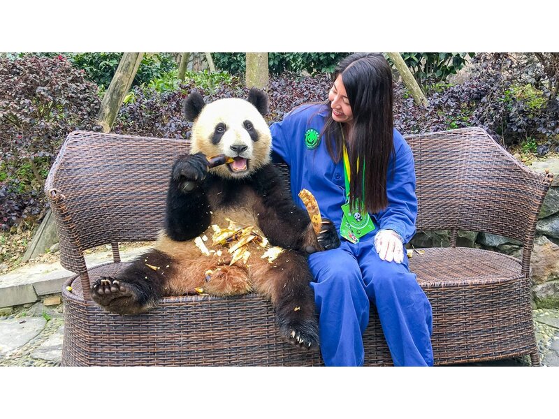THÀNH ĐÔ- MẠN HOA TRANG VIÊN-  CỬU TRẠI CÂU- CÔNG VIÊN GẤU TRÚC- LẠC SƠN ĐẠI PHẬT [ BAY 3U ]