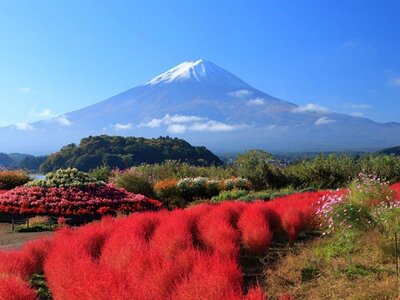 HÀNH TRÌNH KHÁM PHÁ NHẬT BẢN 2025