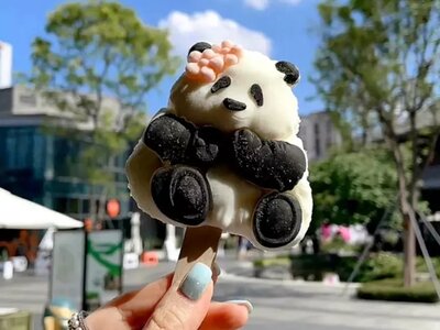 THÀNH ĐÔ- MẠN HOA TRANG VIÊN-  CỬU TRẠI CÂU- CÔNG VIÊN GẤU TRÚC- LẠC SƠN ĐẠI PHẬT [ BAY 3U ]