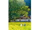 NGHI XƯƠNG - VỤ NGUYÊN -  VỌNG TIÊN CỐC - CẢNH ĐỨC TRẤN
