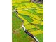 NGHI XƯƠNG - VỤ NGUYÊN -  VỌNG TIÊN CỐC - CẢNH ĐỨC TRẤN