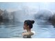 DU LỊCH NHẬT BẢN DỊP LỄ 30/4