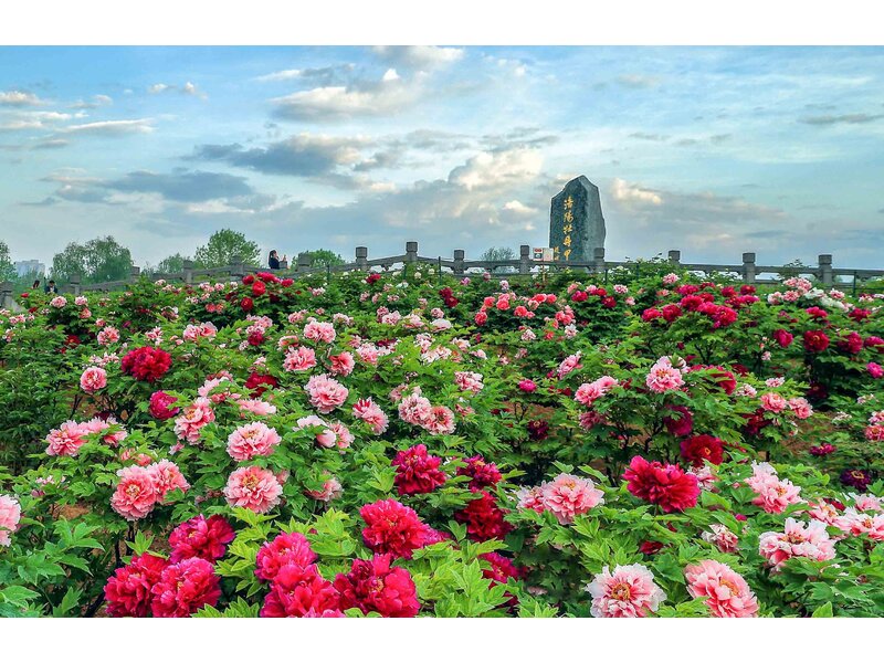 SẮC MÀU KINH ĐÔ TRUNG HOA: TÂY AN – LẠC DƯƠNG – TRỊNH CHÂU