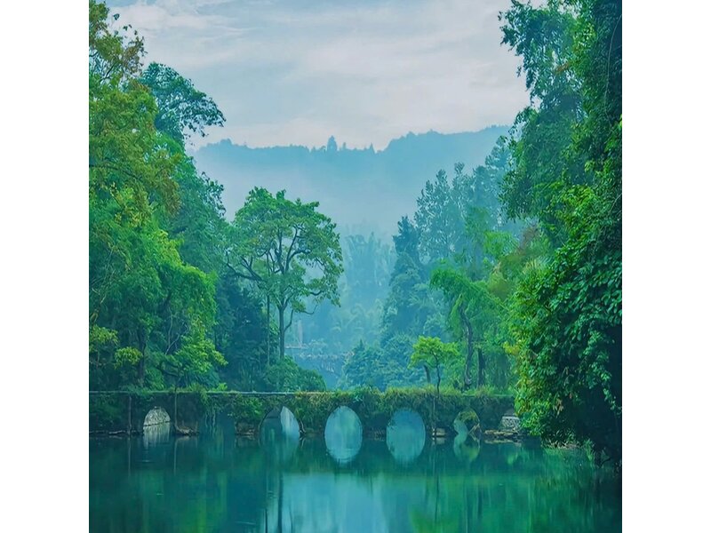 HÀ NỘI - QUÝ DƯƠNG - (LỆ BA) - THIÊN HỘ MIÊU TRẠI - NGẮM HOA/TRẤN VIỄN
