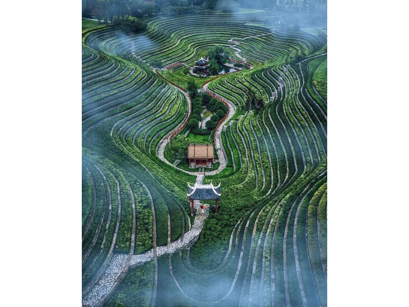 HÀ NỘI - QUÝ DƯƠNG - (LỆ BA) - THIÊN HỘ MIÊU TRẠI - NGẮM HOA/TRẤN VIỄN