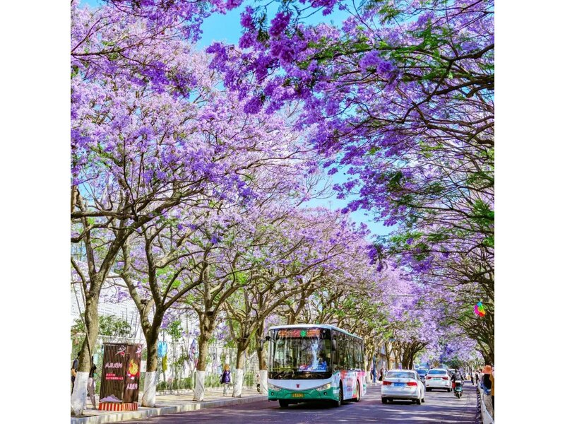 HÀ NỘI – QUÝ DƯƠNG – TRẤN VIỄN – THIÊN HỘ MIÊU TRẠI – LỆ BA – NAM NINH – HÀ NỘI