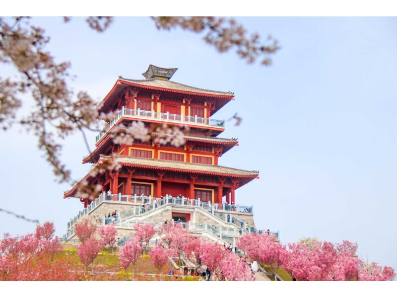 NGẮM HOA MẪU ĐƠN: TÂY AN - LẠC DƯƠNG – TRỊNH CHÂU