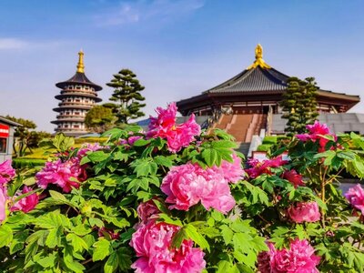 SẮC MÀU KINH ĐÔ TRUNG HOA: TÂY AN – LẠC DƯƠNG – TRỊNH CHÂU