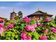 SẮC MÀU KINH ĐÔ TRUNG HOA: TÂY AN – LẠC DƯƠNG – TRỊNH CHÂU
