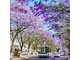 HÀ NỘI – QUÝ DƯƠNG – TRẤN VIỄN – THIÊN HỘ MIÊU TRẠI – LỆ BA – NAM NINH – HÀ NỘI