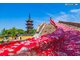 QUÝ DƯƠNG – THANH NHAM CỔ TRẤN – TIỂU THẤT KHỔNG – TRẤN VIỄN CỔ THÀNH – THIÊN HỘ MIÊU TRẠI