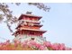 SẮC MÀU KINH ĐÔ TRUNG HOA: TÂY AN – LẠC DƯƠNG – TRỊNH CHÂU