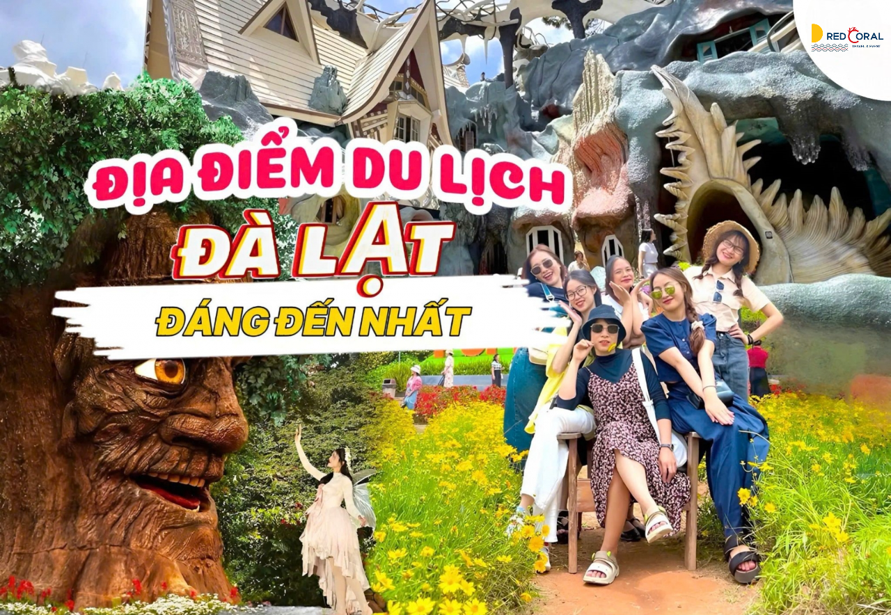 Khám phá vẻ đẹp, ẩm thực và điểm tham quan ở Đà Lạt mùa xuân