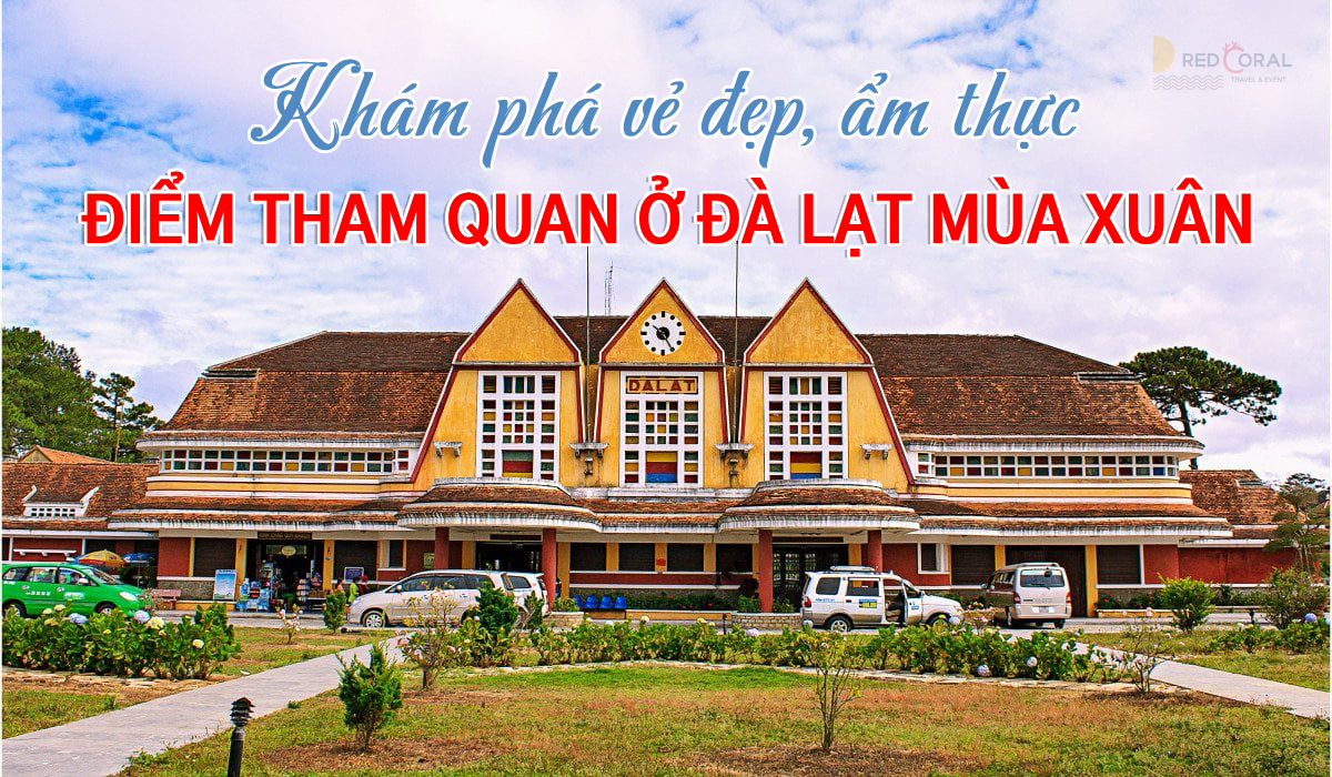 Khám phá vẻ đẹp, ẩm thực và điểm tham quan ở Đà Lạt mùa xuân